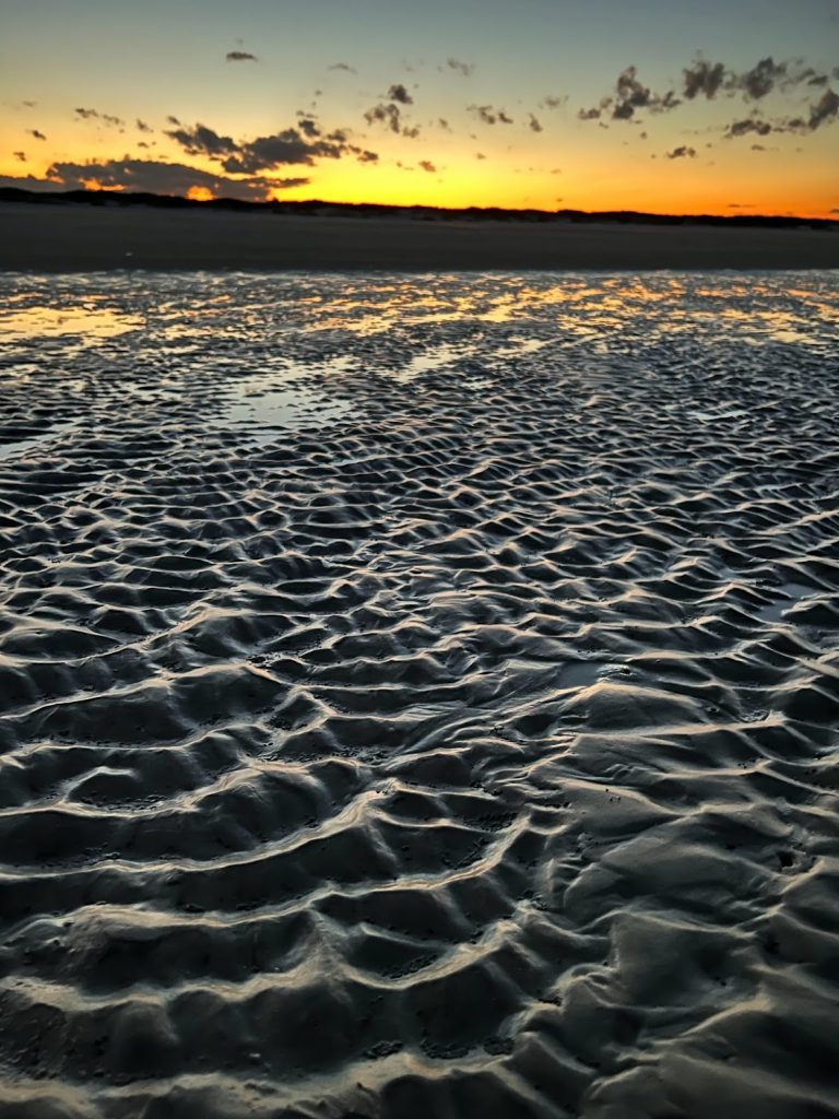 camping allows you to cumberland island beach sand dimples at sunrise or sunset